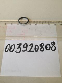  003920808