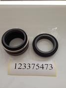  123375473